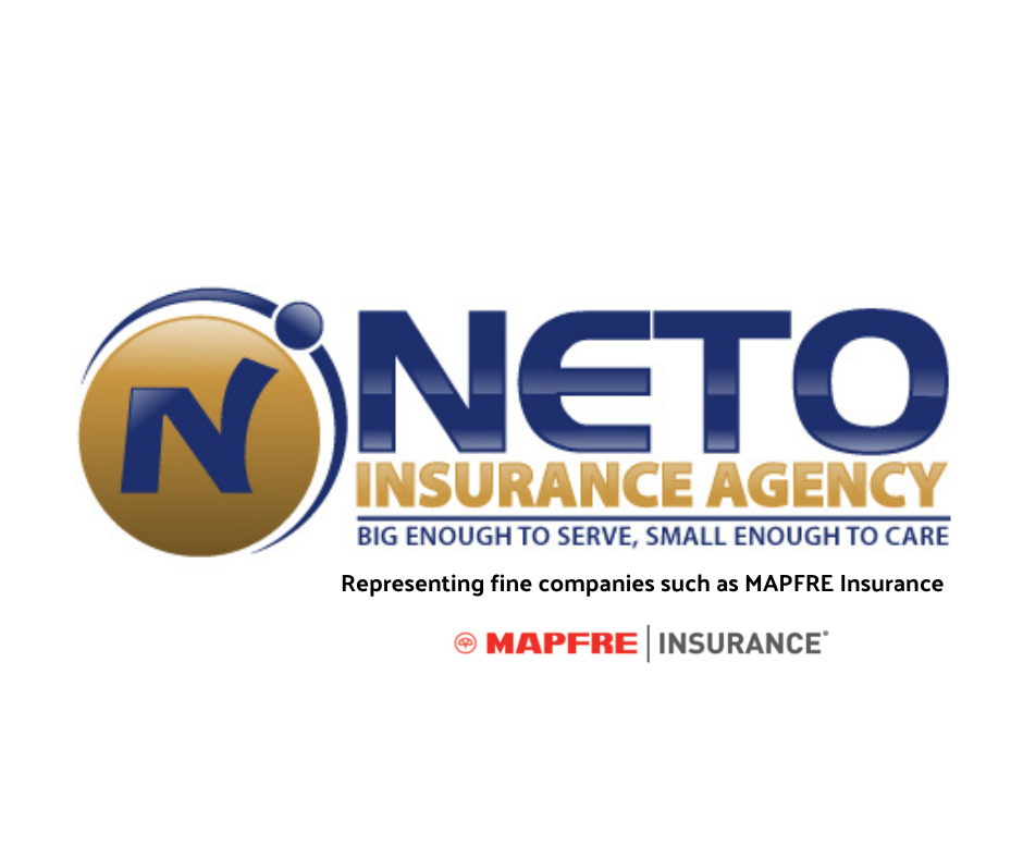 Neto Insurance Logo